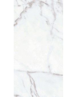 12x24 Tile Available