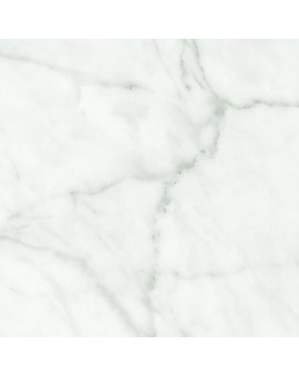 20x20 Tile Available