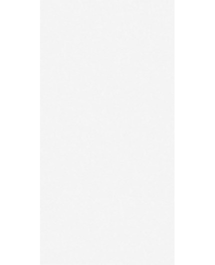 12x24 Tile for Wall and Floor