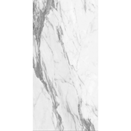 Altissimo White 24x48 Porcelain Tile