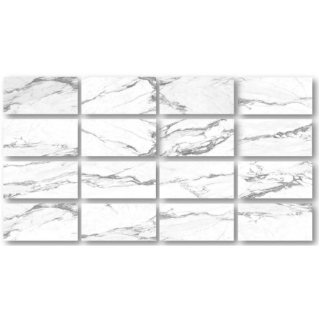 Altissimo White 24x48 Porcelain Tile