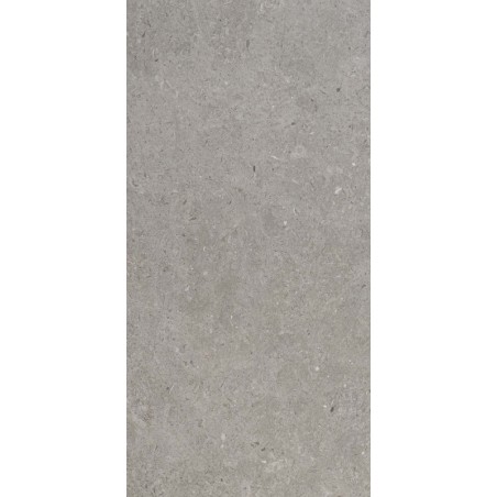 Ulisse Grey 24x48 Porcelain Tile